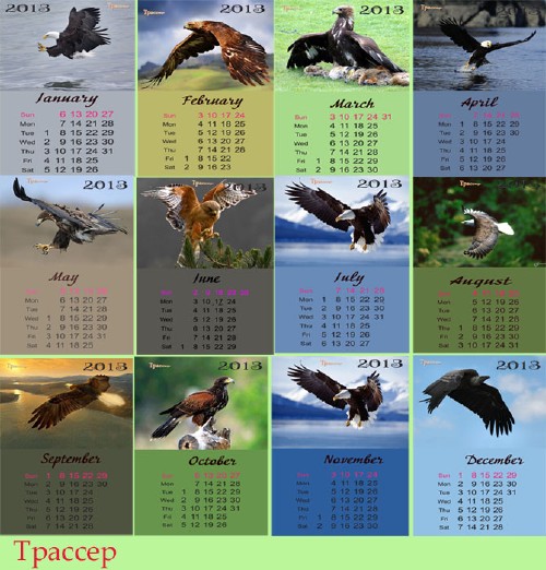 Скачать Календарь на 2013 год помесячный - Царь птиц