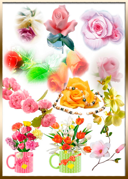 Клипарт - Красивые розы в формате PNG