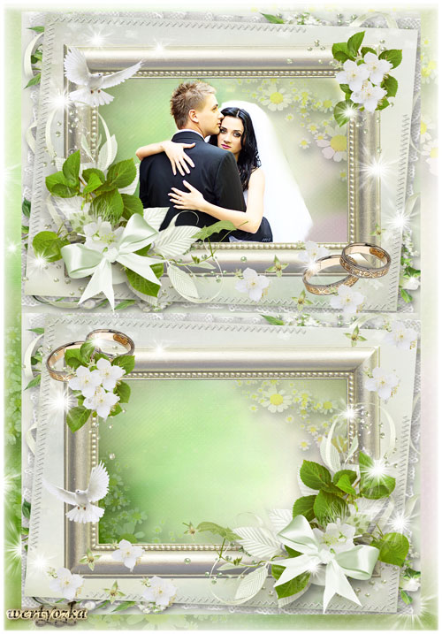 Свадебная рамка для фотошопа - Свадебные голуби как символ любви