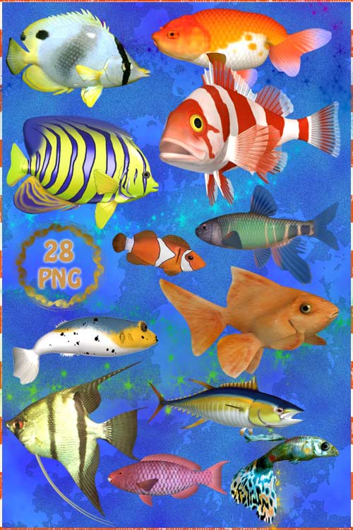 Клипарт PNG - Аквариумные рыбки